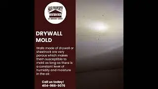Stockbridge Drywall Mold