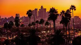 Michael Kross - Downtown LA