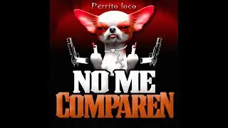 no me comparen (Perrito Loco -&times;- La Gente Grande Pa