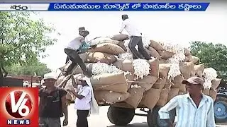 Enumamula market labours concern with insufficient daily wages - Warangal(3-04-2015)