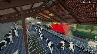 Untergriesbach (Maize Plus) * Feeding Cows - Maize Silage, Alfalfa Hay, Clover Silage * FS 19