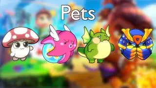 Using Every Pet In Battle Run!