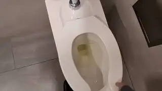 Thomas Edison rest stop service area toilets