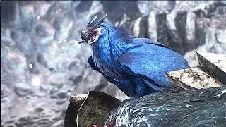 Гриффон раскрывает секреты Вергилия Devil May Cry 5