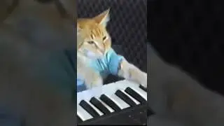 #shorts #memes #meme #short #shortvideo #edit #tiktok #tiktokvideo #tiktokviral #games #gaming #fnaf