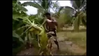 Guy Kick Bananas Tree Down Wow