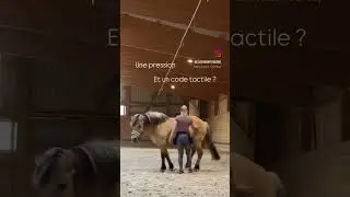 La diff&eacute;rence entre une pression et un code tactile - Clicker Training - EquiProgress