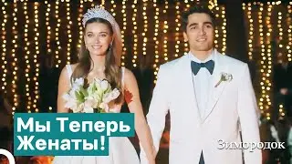 Сейран И Ферит Поженились! | Зимородок