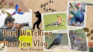 Best Bird Watching locations near Baruipur পাখি পর্যবেক্ষন   #tuhintourvlogs  #birdwatching