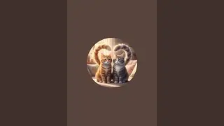 Olive & Ginger 🐾 | Cute Indian Cats &bull; Daily Cat Life &bull; Funny & Relaxing Moments | #cats #catshorts