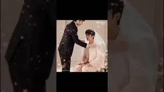 Our delulu wedding 👉👈🙈 Weiying ❤️ Lan Zhan 💚 xiao zhan 🐇 Wang yibo 🦁#yizhanforever #wangxianforever