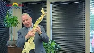 About Your Pinched Nerve_Kent East Chiropractic_ Kent Wa