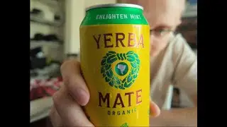 Guayaki Yerba Mate Drink Review