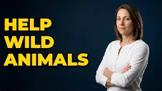 What Career Opportunities Exist In Wildlife Rehabilitation?