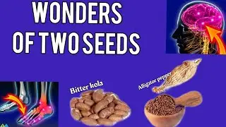 wonders of two seeds ➡️ infertility,arthritis🦶&more!bitter kola benefits|alligator pepper benefits