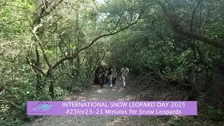 Why the World is Walking 23 Minutes for Snow Leopards 🐾 | Join the Movement!