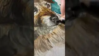 Custom Pet Portraits - why I love painting your pets in watercolours! #artist #petportraits #dogart