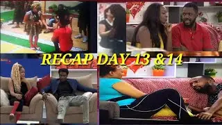 Ultimate Love Ng - Iyke proposes to chris|why david kiss rosie|meriton&Jerry Caught (Recap day13&14)
