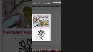 Что делать, если кажется, что внедренная картинка в InDesign пикселит?  #курсыдизайна  #indesign