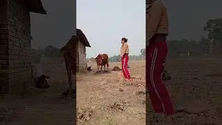 Forth day#shorts #youtubeshorts #shortsfeed #ytshorts #minivlog #shortvideo #funny #Bhooarivlog