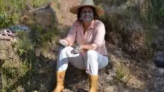 fazenda em jaú