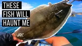 These fish will haunt me  Halibut Kayak fishing noob moves