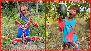 Survival Skills: SMART idea and USEFUL in forest with Two Brother #bushcraft #camping #outdoors