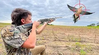 День открытия охоты на голубей с ребятами!! (поймал, почистил, приготовил)