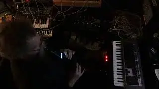 LIVE - Jamuary 2026 Day Fourteen - more Diosynth