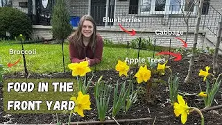 Growing Food In Your FRONT YARD While Making It Beautiful! 🌷🥦🍎