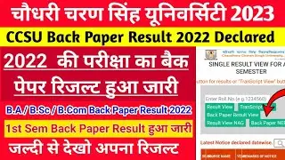 CCSU 1st Semester Dec 2022 Back Result Declared | CCSU Back NEP Result 2023 | Ccsu result 2022