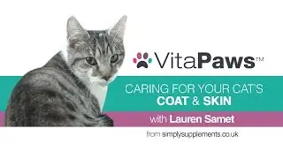 Tips to Care for Your Cat's Coat and Skin