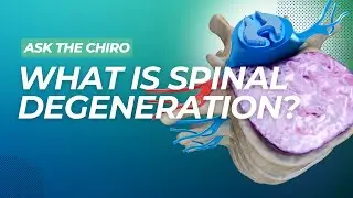 What Is Spinal Degeneration? How Do You Get It? - CORE Chiropractic