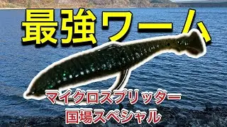 最強のワームで秋を釣り尽くす！