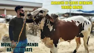 Karachi Ki Sab se Mehangi Mandi | Muwaj Goth/Neval Mandi Rates Update | 27/May/2023