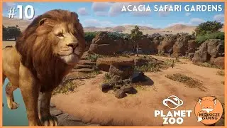 West African Lion Habitat | 🏜️ACACIA SAFARI GARDENS | Ep. 10 l Speed Build l Planet Zoo 🦒