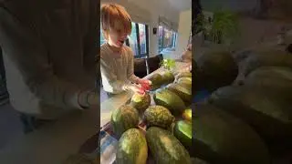 Wild watermelon world!
