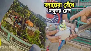 কবুতরের গাঁয়ে ক্যামেরা লাগিয়ে পাল্লা দিলাম, অবশেষে সফল