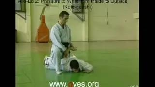 Aiki Do 2 Kotegeashi