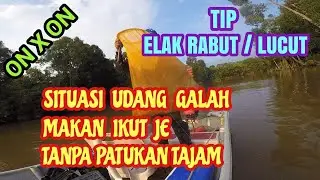TIP @ TEKNIK | SAAT UDANG GALAH MAKAN HANYA IKUT PEGANG UMPAN SELEPAS ITU DILEPASKAN UMPAN