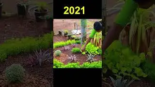 PONSY GARDEN TRANSFORMATION  🌳🌻🌸