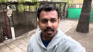 PALGHAR DOG BORDING @ bhoobhoopetsitting  daily routine, and cleaning 🧹 