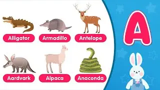 ABC Animal Flashcards 🐾 | A to Z Animals for Kids | Learn 150 Animal Names!