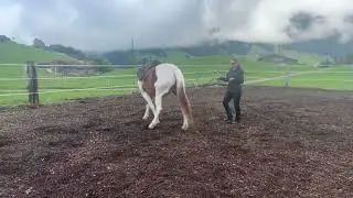 Etwas Arbeit im Herbst… Üben für die nächste Reitstunde.