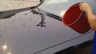Гидрофобный эффект BMW Z4 35i