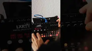 Exploring Erica Synths LXR drum synth #shorts #drummachine #ericasynths #beatmaker