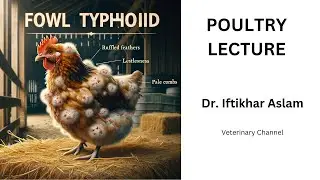 Unraveling the Mystery: Fowl Typhoid in Chickens Explained