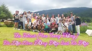 The Florest (Hoa Trong Rừng) Đà Lạt Đẹp Quá Xá Là Đẹp.
