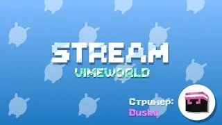ИГРАЕМ ВМЕСТЕ ПРИВАТКИ \\ VIMEWORLD