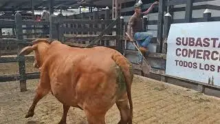 184